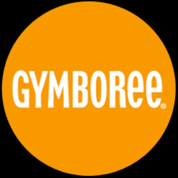 GYMBOREE Girl's Burst of Spring Chambray Dress 2T - Picture 2 of 8